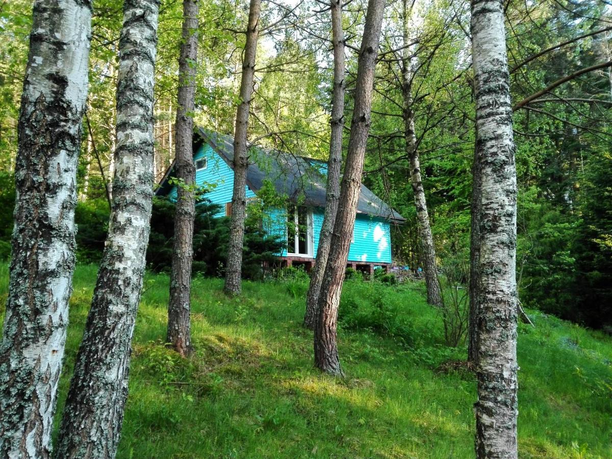 Domek Na Gorce Bieszczady 莱斯科 外观 照片