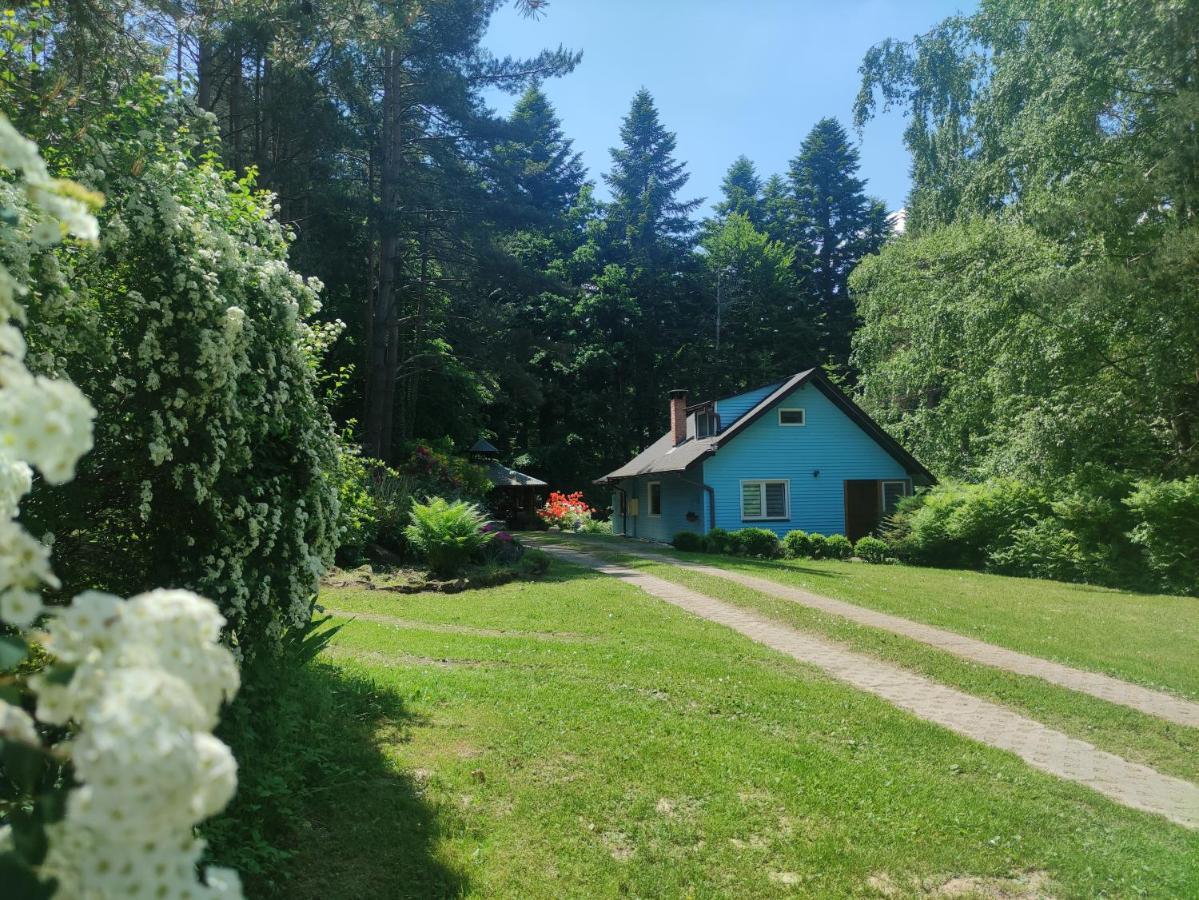 Domek Na Gorce Bieszczady 莱斯科 外观 照片
